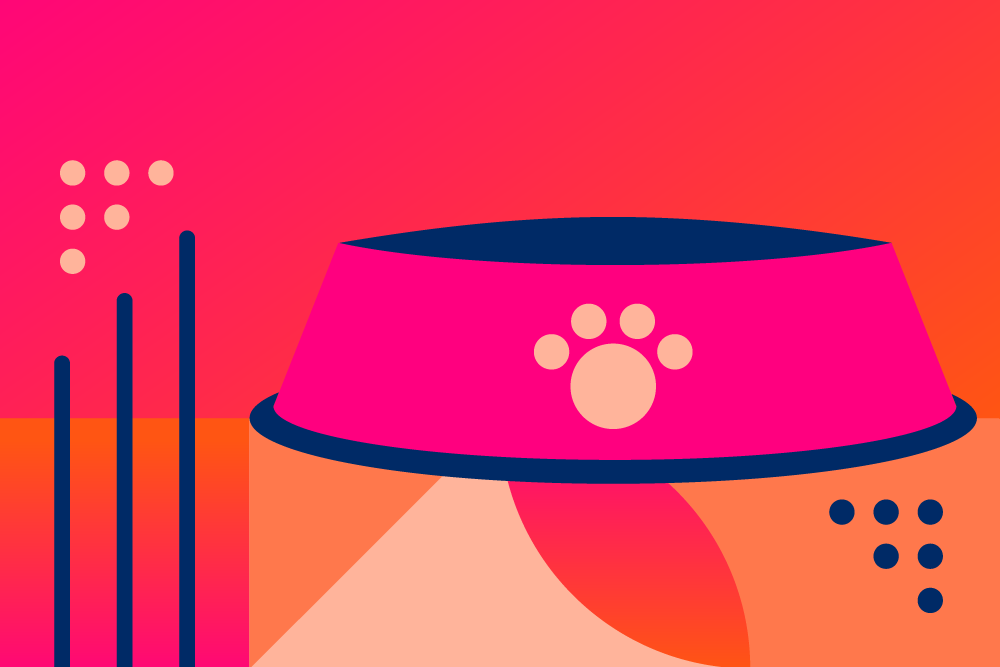 Image of pet food bowl.