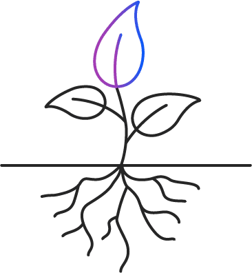 Expertise - Long Term Success