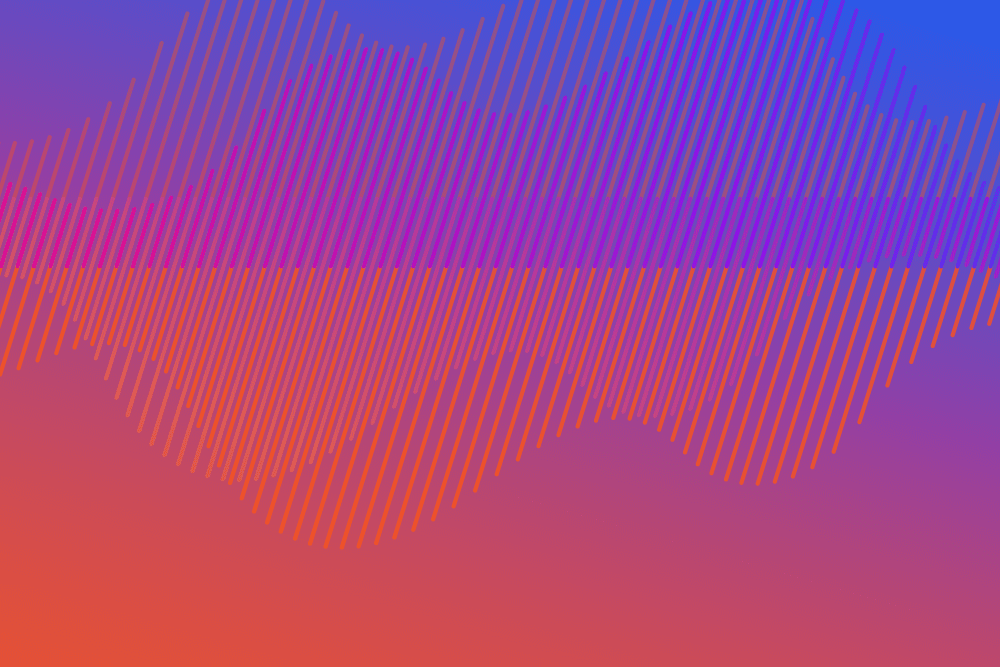 DISQO Pet Case Study_CampaignSuite_WebHeader (1)