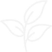 Media Company - Growth