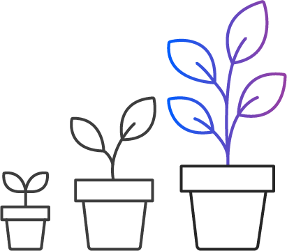 Brand Solutions_Brand Maturity