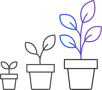 Brand Solutions_Brand Maturity